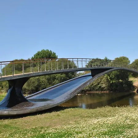 Evajoe אספוסנדה